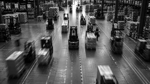 Busy warehouse with forklifts and staff in motion